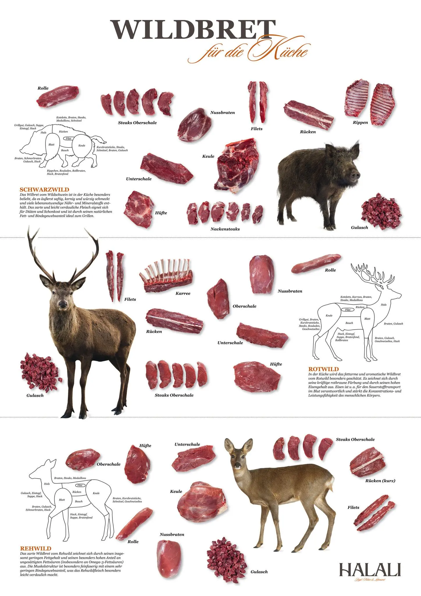Übersicht der Teilstücke von Wildschwein, Rothirsch und Reh
