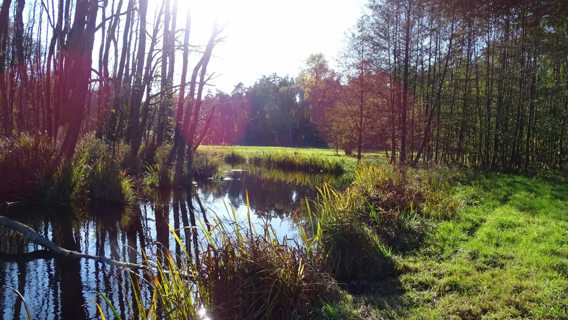 Wald und Wasser in der Oberhavel